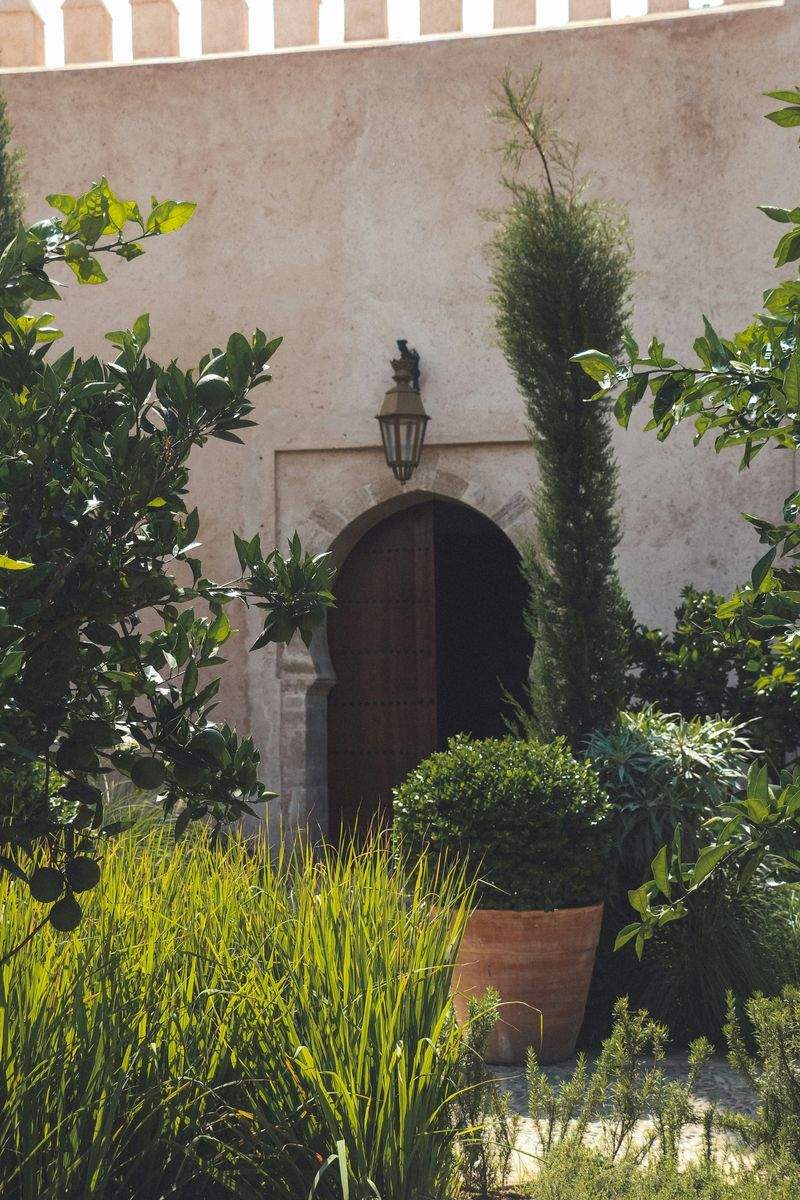 Giardini Fioriti Srl - Image 5