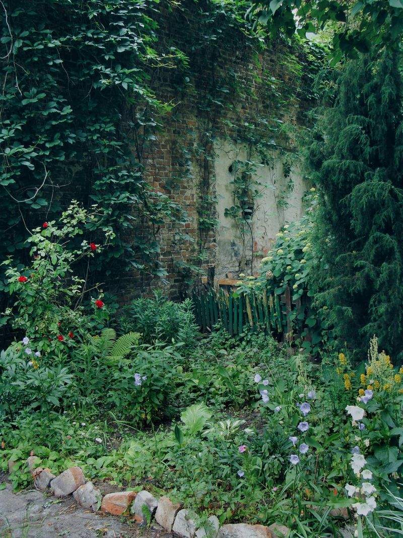 Giardini Fioriti Srl - Image 6