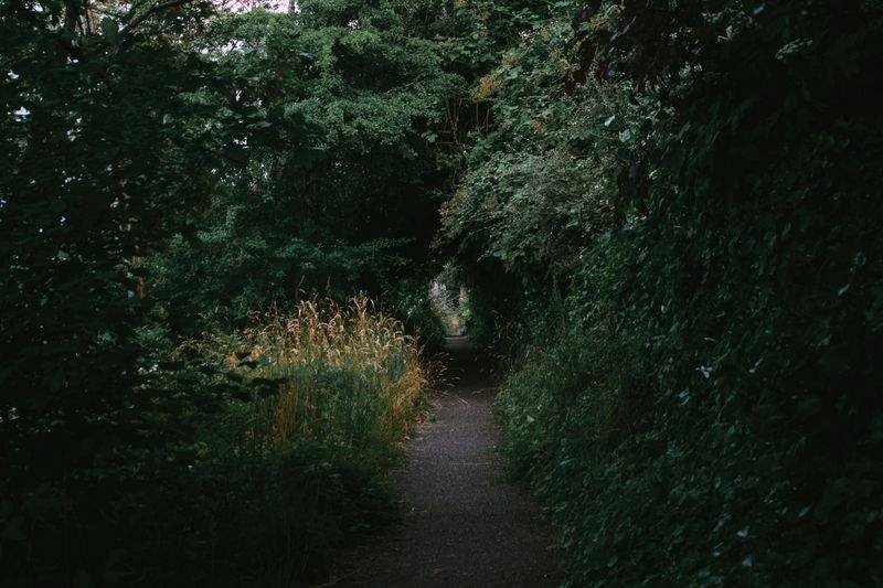 Giardini Fioriti Srl - Image 7