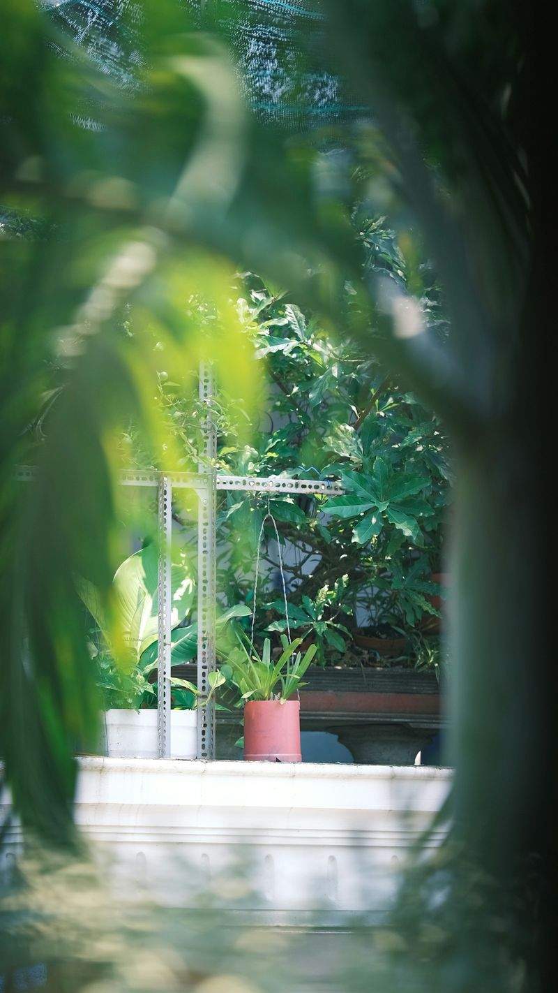 Manutenzione del verde