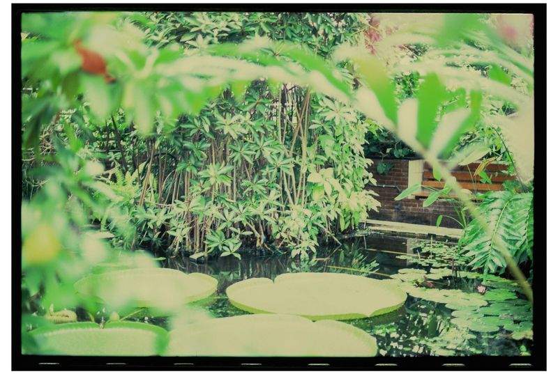 Realizzazione prati e aiuole